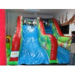 SLIDE FORESTA M 3,2 X 5,4 X 2,7 (H)