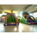 SCIVOLO MAXI SLIDE M 4 X 6 X 4,5 (H)